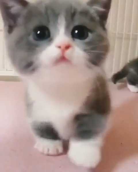 유튜브 gif 썸네일이 바로 잡히면 좋을텐데~ 썸네일 설정이 귀찮아요 ㅎ